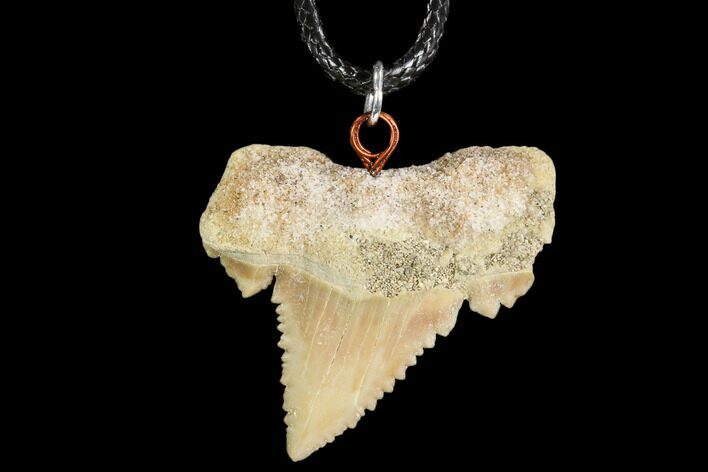 Fossil Shark (Palaeocarcharodon) Tooth Necklace -Morocco #110021